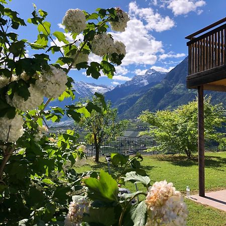 Der Blaue Reiter Aparthotel Schenna Buitenkant foto
