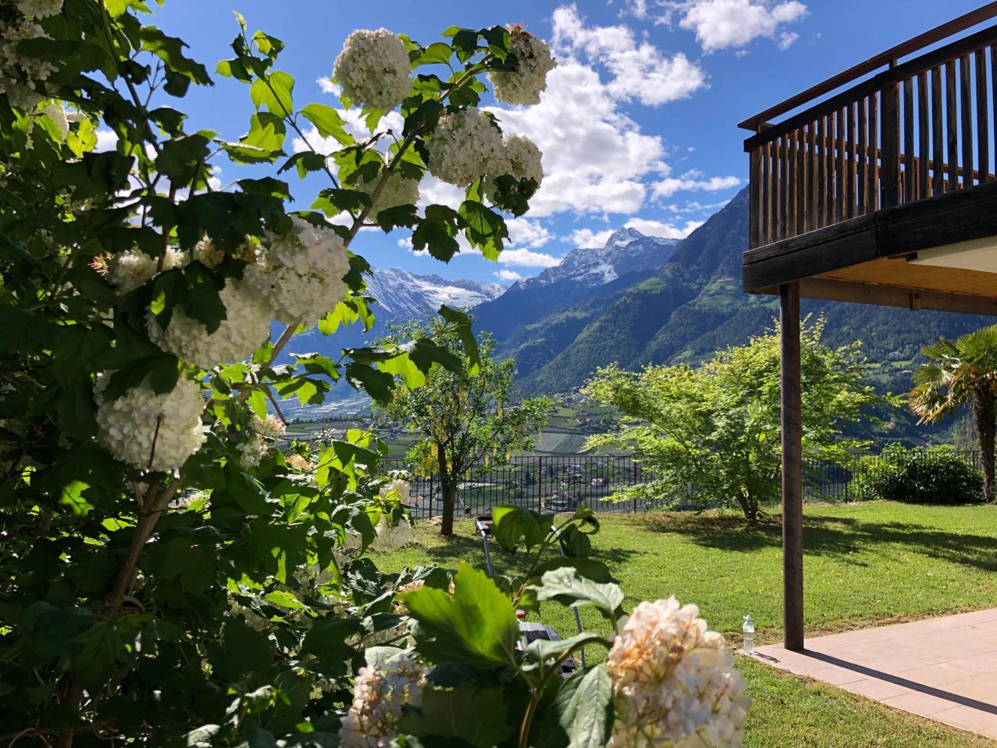 Der Blaue Reiter Aparthotel Schenna Buitenkant foto