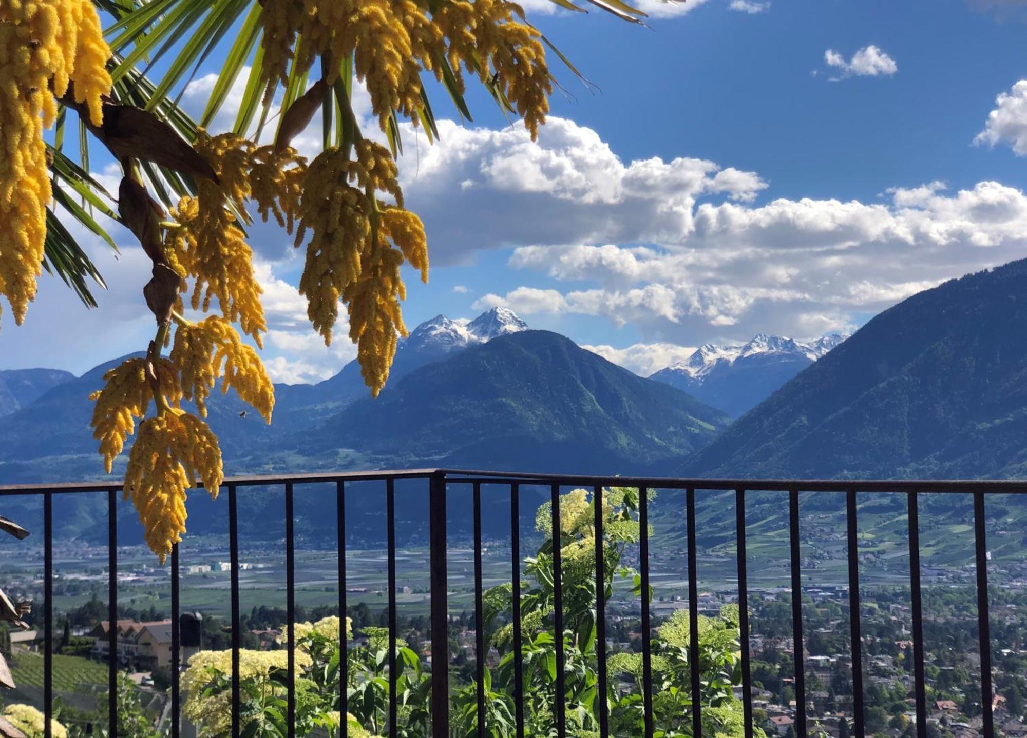 Der Blaue Reiter Aparthotel Schenna Buitenkant foto
